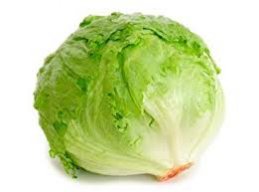 LettuceBoi